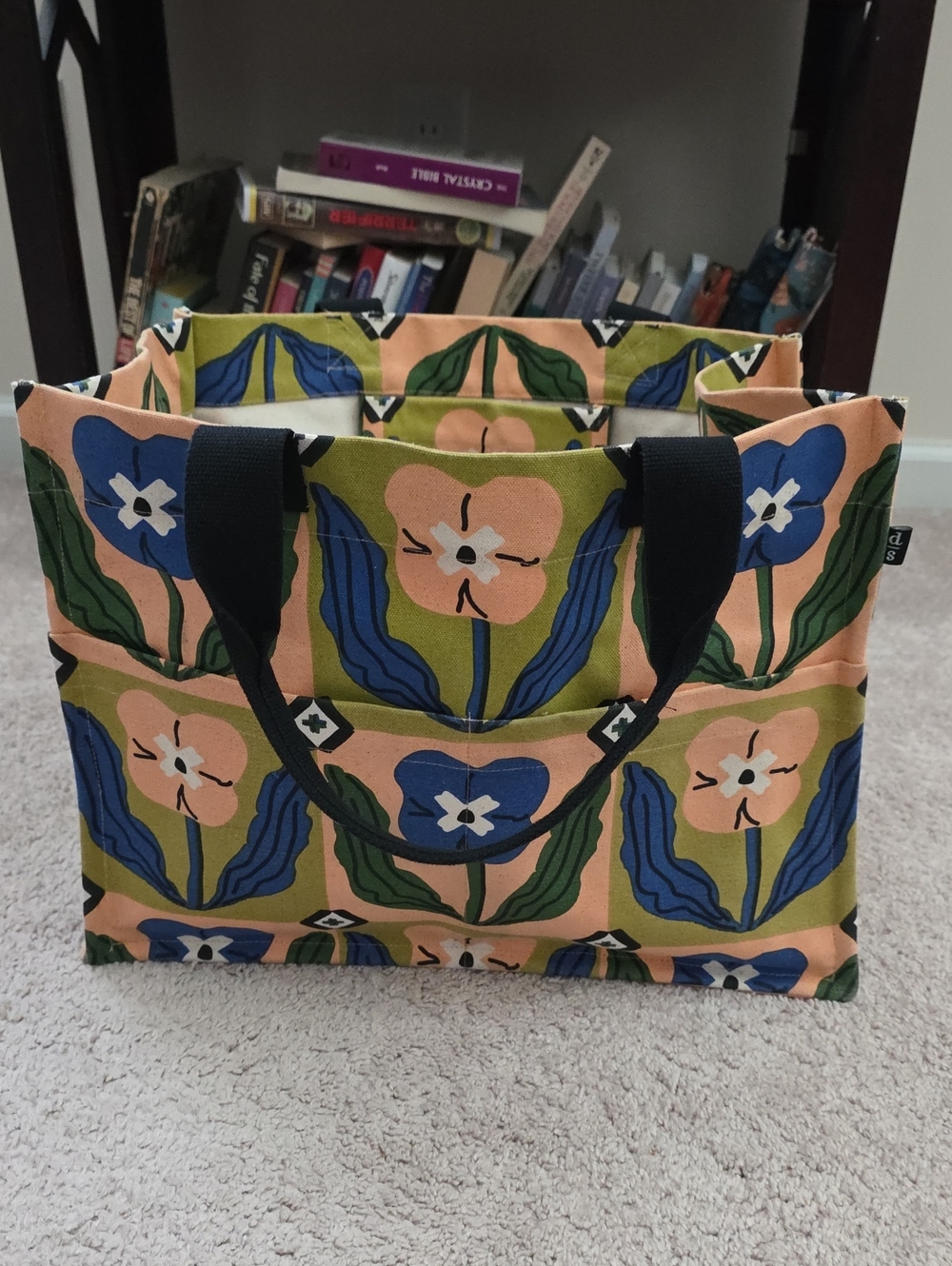 Danica STUDIO STURDY Canvas Tote Bag in Peach, Blue & Green